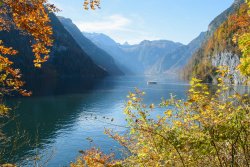 Herbstlicher Königssee vom Malerwinkl aus gesehen
