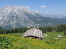 Blick von der Priesbergalm auf die Watzmann-Ostwand 