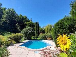 Blick auf unseren Pool mit Liegebereich