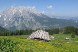 Blick von der Priesbergalm auf die Watzmann-Ostwand 
